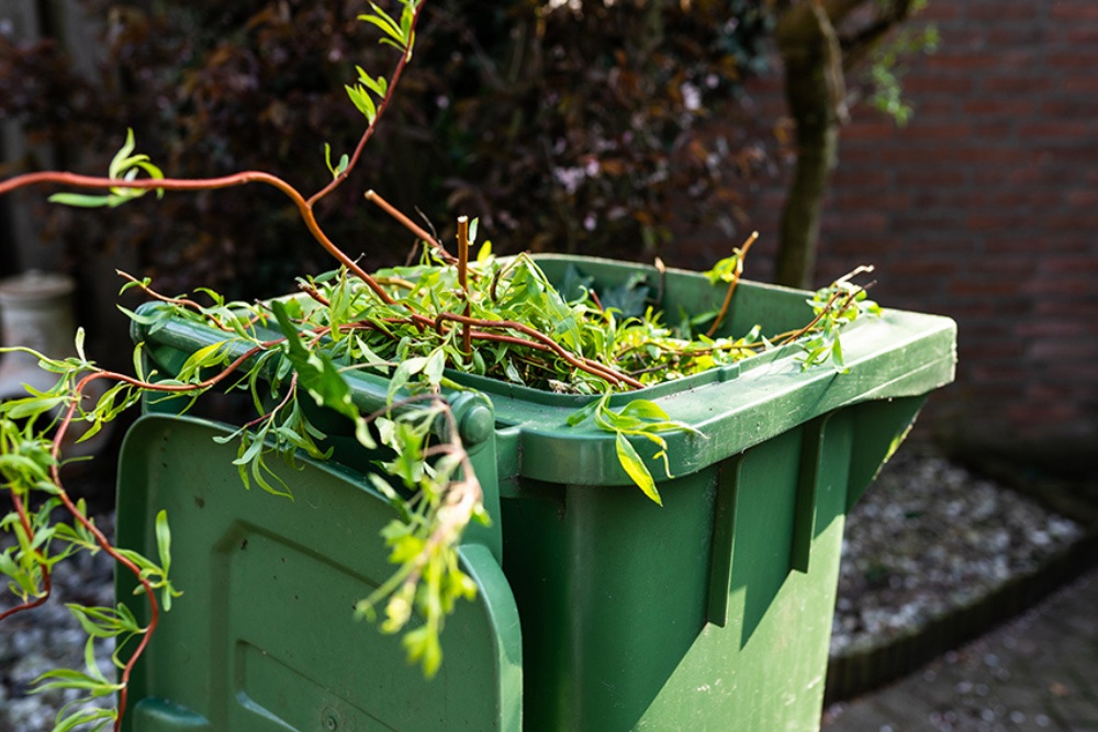 Garden green waste removal